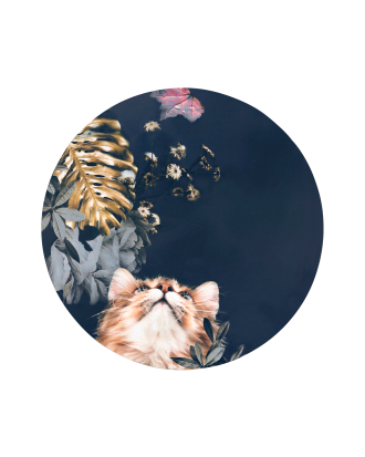 Malerifabrikken - Tavla Pet Couture 3 - Multi - 90X90