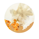 Malerifabrikken - Tavla The Art of taste 8 - Orange - 90X90