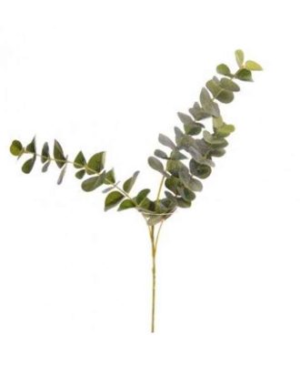 Eucalyptus Kvist 60 cm