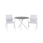 Venture Home - Matgrupp Parma med 2st matstolar Alina - Grå
