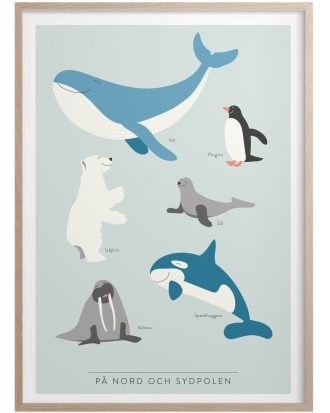 Kunskapstavlan® På Nord Och Sydpolen Poster 30x40 Cm - Posters Papper Blå